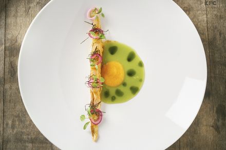 大阪で行きたいおすすめフレンチ３０軒 人気のお店一覧 おすすめ旅行を探すならトラベルブック Travelbook