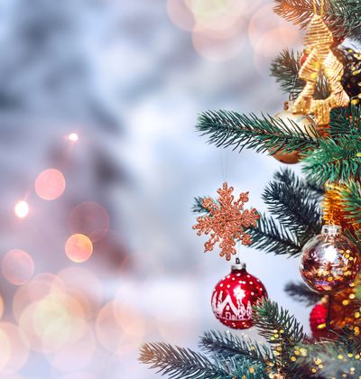 21 22年版 新潟のおすすめイルミネーション デートスポットに人気 おすすめ旅行を探すならトラベルブック女子旅 21 22年版 新潟のおすすめイルミネーション デートスポットに人気 おすすめ旅行を探すならトラベルブック女子旅