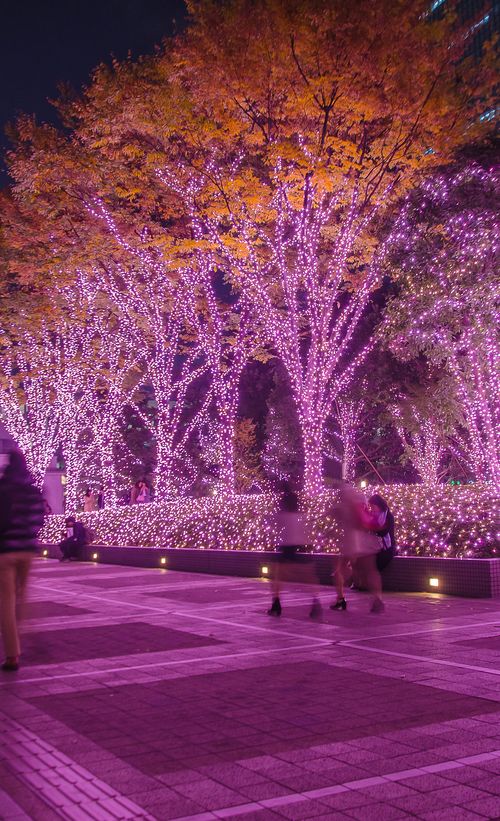 21年版 新宿のおすすめイルミネーション デートスポットに人気 おすすめ旅行を探すならトラベルブック女子旅