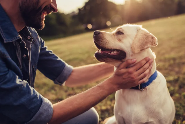 ドッグフードおすすめ14選 愛犬の健康を守る 本当に良い 選び方 自分らしい便利な暮らしを トラベルブック Travelbook