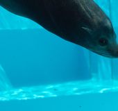 福岡 マリンワールド海の中道 九州の海を再現した迫力満点の水族館 おすすめ旅行を探すならトラベルブック Travelbook