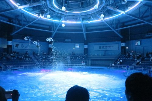 関東のおすすめ水族館１９施設 デートに人気のイルカショーも おすすめ旅行を探すならトラベルブック Travelbook