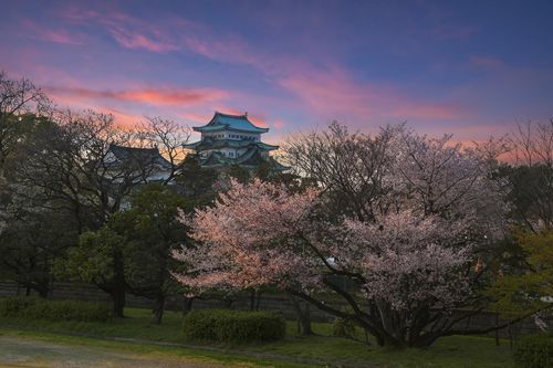 名古屋のおすすめ花見スポット 名所５選 名駅から片道１時間以内で行ける おすすめ旅行を探すならトラベルブック Travelbook