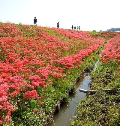 愛知 半田 武豊周辺で人気のおすすめ観光スポット10選 おすすめ旅行を探すならトラベルブック Travelbook