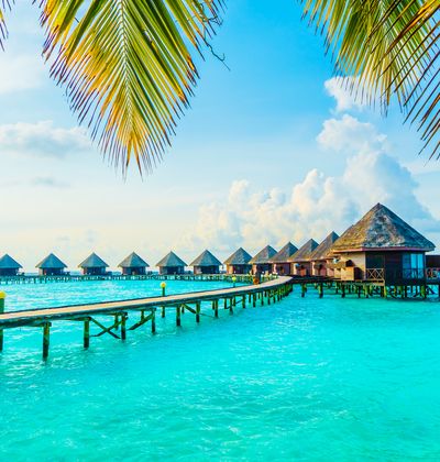 モルディブといえばこれ 人気のお土産9選 おすすめ旅行を探すならトラベルブック Travelbook モルディブといえばこれ 人気のお土産9選 おすすめ旅行を探すならトラベルブック Travelbook