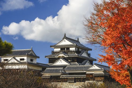 松山といえばこれ 人気のお土産9選 おすすめ旅行を探すならトラベルブック Travelbook 松山といえばこれ 人気のお土産9選 おすすめ旅行を探すならトラベルブック Travelbook