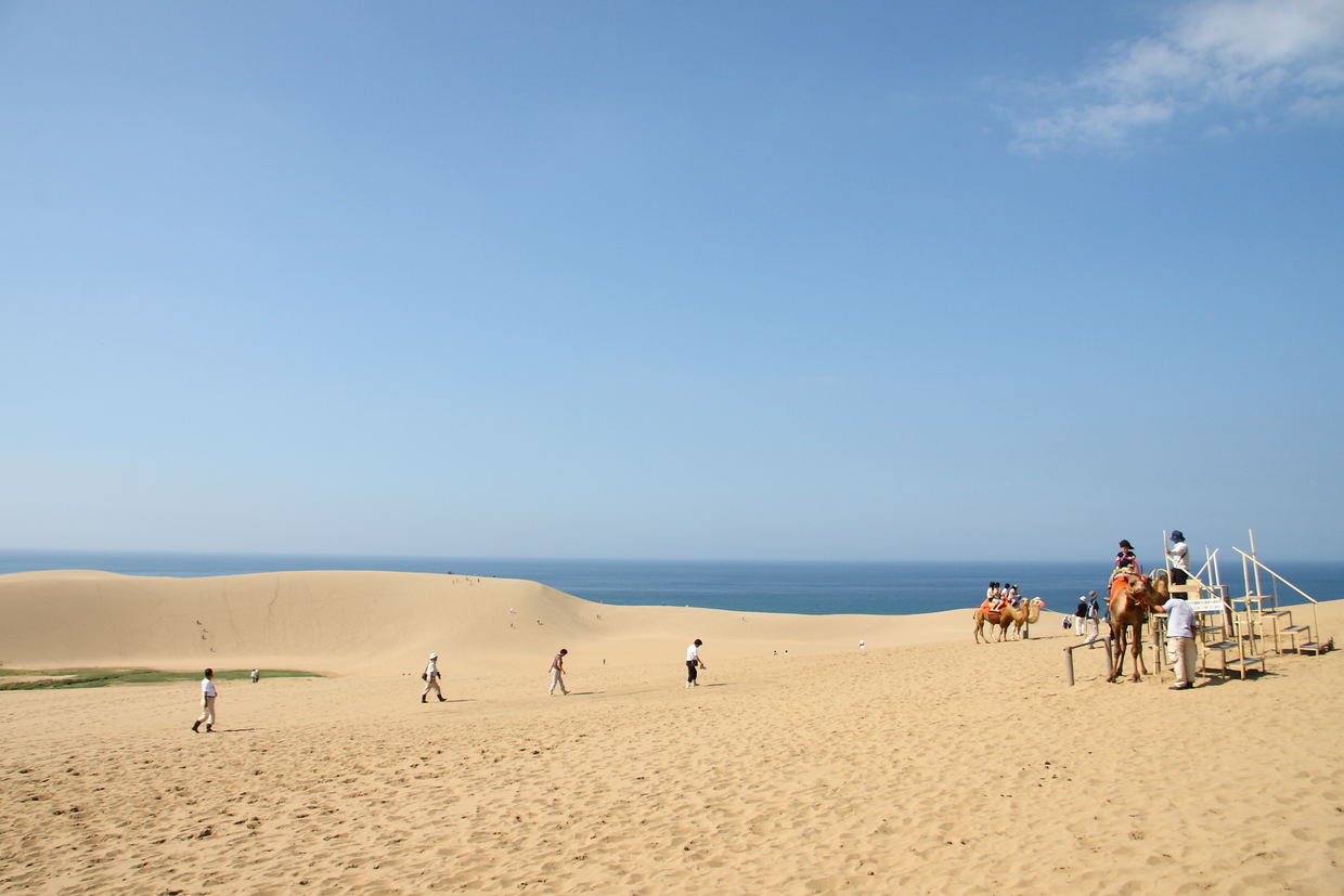 鳥取のおすすめ旅館選 人気の温泉宿や高級旅館をご紹介 おすすめ旅行を探すならトラベルブック Travelbook