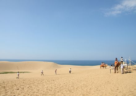 鳥取のおすすめ旅館選 人気の温泉宿や高級旅館をご紹介 おすすめ旅行を探すならトラベルブック Travelbook 鳥取のおすすめ旅館選 人気の温泉宿や高級旅館をご紹介 おすすめ旅行を探すならトラベルブック Travelbook