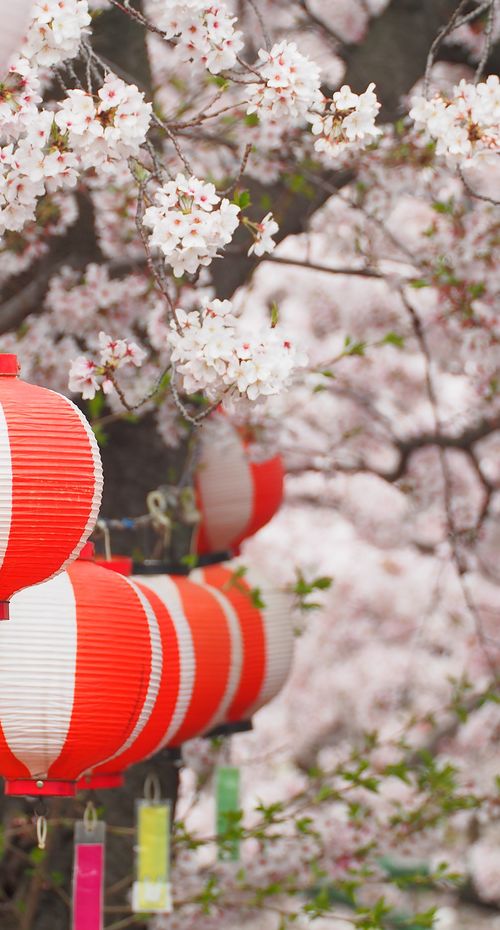 年版 神戸のおすすめ花見スポット 名所3選 満開の桜と春の陽気に心躍る おすすめ旅行を探すならトラベルブック Travelbook 年版 神戸のおすすめ花見スポット 名所3選 満開の桜と春の陽気に心躍る おすすめ旅行を探すならトラベルブック Travelbook