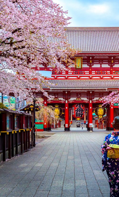 年版 浅草のおすすめ花見スポット 名所2選 開花予想日も紹介 おすすめ旅行を探すならトラベルブック Travelbook