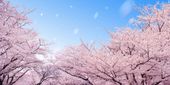 年版 新潟のおすすめ花見スポット 名所15選 開花予想日もチェック おすすめ旅行を探すならトラベルブック Travelbook