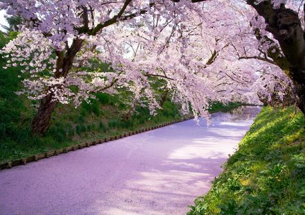 23年版 宇都宮で行きたいおすすめ花見スポット 名所6選 さくらの開花予想も紹介 おすすめ旅行を探すならトラベルブック Travelbook 23年版 宇都宮で行きたいおすすめ花見スポット 名所6選 さくらの開花予想も紹介 おすすめ旅行を探すならトラベルブック Travelbook