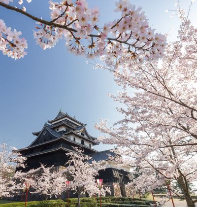 松江 松江城 周辺でおすすめの観光スポット5選 おすすめ旅行を探すならトラベルブック Travelbook 松江 松江城 周辺でおすすめの観光スポット5選 おすすめ旅行を探すならトラベルブック Travelbook