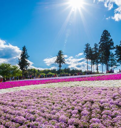 埼玉 秩父のおすすめ観光スポット30選 季節の花や歴史的建物を楽しめる おすすめ旅行を探すならトラベルブック Travelbook 埼玉 秩父のおすすめ観光スポット30選 季節の花や歴史的建物を楽しめる おすすめ旅行を探すならトラベルブック Travelbook