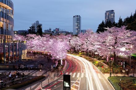 東京の絶景ドライブスポット２５選 デートや日帰り旅行におすすめ おすすめ旅行を探すならトラベルブック女子旅
