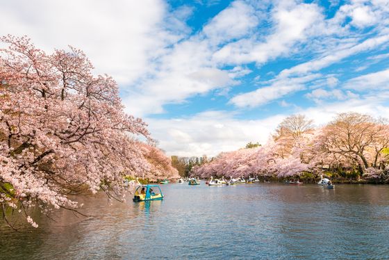 吉祥寺で予約できるおすすめのグルメ レストランまとめ ランチやディナーで使えるお店をご紹介 おすすめ旅行を探すならトラベルブック Travelbook
