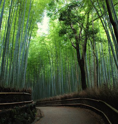 京都 嵐山 嵯峨野 太秦 桂周辺で人気の観光スポット10選 おすすめ旅行を探すならトラベルブック Travelbook 京都 嵐山 嵯峨野 太秦 桂周辺で人気の観光スポット10選 おすすめ旅行を探すならトラベルブック Travelbook