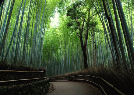 京都 嵐山 嵯峨野 太秦 桂周辺で人気の観光スポット10選 おすすめ旅行を探すならトラベルブック Travelbook 京都 嵐山 嵯峨野 太秦 桂周辺で人気の観光スポット10選 おすすめ旅行を探すならトラベルブック Travelbook