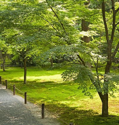 京都 大原の山里で心やすまる観光スポット6選 おすすめ旅行を探すならトラベルブック Travelbook 京都 大原の山里で心やすまる観光スポット6選 おすすめ旅行を探すならトラベルブック Travelbook