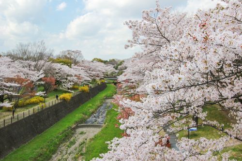 立川で予約できるおすすめのグルメ レストランまとめ ランチやディナーで使えるお店をご紹介 おすすめ旅行を探すならトラベルブック Travelbook