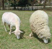 兵庫 六甲山 摩耶山周辺でおすすめの定番観光スポット10選 おすすめ旅行を探すならトラベルブック Travelbook 兵庫 六甲山 摩耶山周辺でおすすめの定番観光スポット10選 おすすめ旅行を探すならトラベルブック Travelbook