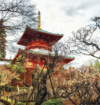 千葉旅行で立ち寄りたいおすすめ神社 神宮 寺院15選 おすすめ旅行を探すならトラベルブック Travelbook 千葉旅行で立ち寄りたいおすすめ神社 神宮 寺院15選 おすすめ旅行を探すならトラベルブック Travelbook