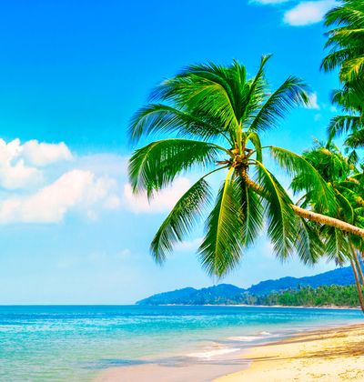 ハワイ旅行に行くならana リピーターに支持される人気の理由を徹底解説 おすすめ旅行を探すならトラベルブック Travelbook ハワイ旅行に行くならana リピーターに支持される人気の理由を徹底解説 おすすめ旅行を探すならトラベルブック Travelbook