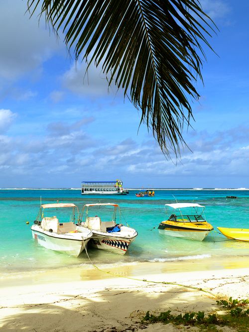 セブ島 日本人がまだ知らない穴場スポット スミロン島 ウミガメや熱帯魚が住む楽園の魅力を徹底解剖します おすすめ旅行を探すならトラベルブック Travelbook