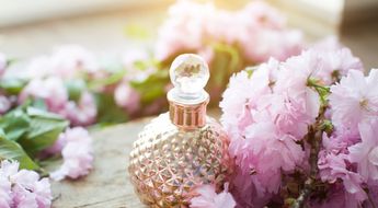 香水の定番ブランド サムライ Samourai で人気アイテムランキング 自分らしい便利な暮らしを トラベルブック Travelbook