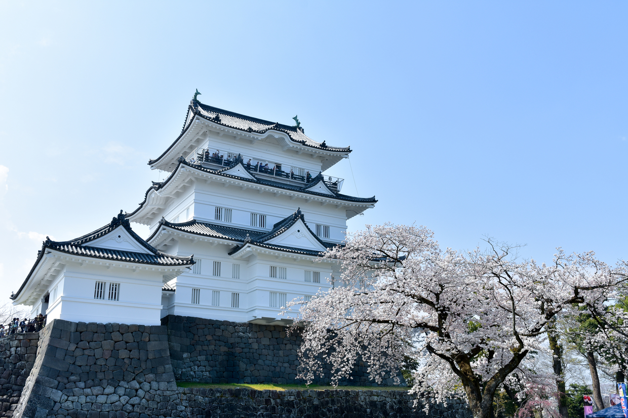 小田原城をめぐる旅 旅好き女子必見 美しく生まれ変わった天守閣 おすすめ旅行を探すならトラベルブック女子旅