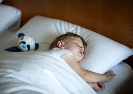 御殿場のおすすめ子連れホテル 口コミ評判の高い宿をご紹介 子育て情報を探すならトラベルブックファミリー 御殿場のおすすめ子連れホテル 口コミ評判の高い宿をご紹介 子育て情報を探すならトラベルブックファミリー
