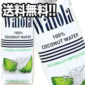 ココナッツ製品 コスメのおすすめ15選 美容効果もご紹介 トラブルブック