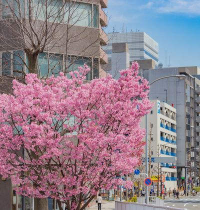 神奈川 新横浜のおすすめホテル15選 安いのに快適な宿をご紹介 おすすめ旅行を探すならトラベルブック Travelbook 神奈川 新横浜のおすすめホテル15選 安いのに快適な宿をご紹介 おすすめ旅行を探すならトラベルブック Travelbook