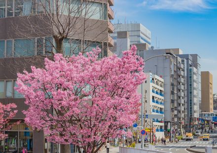神奈川 新横浜のおすすめホテル15選 安いのに快適な宿をご紹介 おすすめ旅行を探すならトラベルブック Travelbook 神奈川 新横浜のおすすめホテル15選 安いのに快適な宿をご紹介 おすすめ旅行を探すならトラベルブック Travelbook