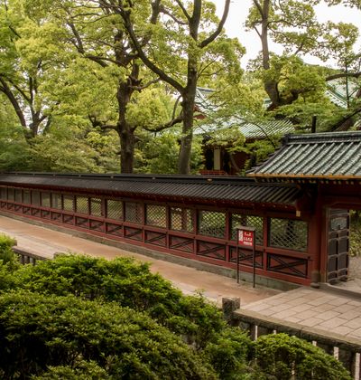 東京 神社 ご利益あるかも 絶対行きたいパワースポット15選 おすすめ旅行を探すならトラベルブック女子旅