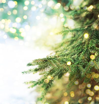 年版 横浜でデートに行きたい おすすめのクリスマスイベント おすすめ旅行を探すならトラベルブック女子旅 年版 横浜でデートに行きたい おすすめのクリスマスイベント おすすめ旅行を探すならトラベルブック女子旅