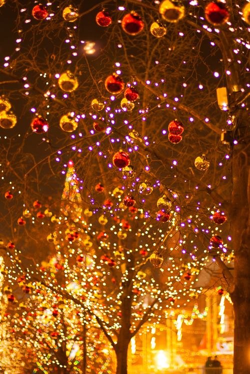 年版 神戸でデートに行きたい おすすめのクリスマスイベント おすすめ旅行を探すならトラベルブック女子旅 年版 神戸でデートに行きたい おすすめのクリスマスイベント おすすめ旅行を探すならトラベルブック女子旅