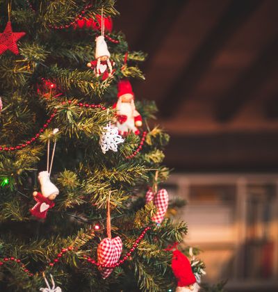 年版 新潟でデートに行きたい おすすめのクリスマスイベント おすすめ旅行を探すならトラベルブック女子旅 年版 新潟でデートに行きたい おすすめのクリスマスイベント おすすめ旅行を探すならトラベルブック女子旅