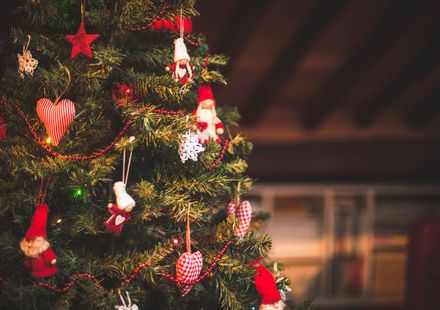 22年版 新潟でデートに行きたい おすすめのクリスマスイベント おすすめ旅行を探すならトラベルブック女子旅 22年版 新潟でデートに行きたい おすすめのクリスマスイベント おすすめ旅行を探すならトラベルブック女子旅