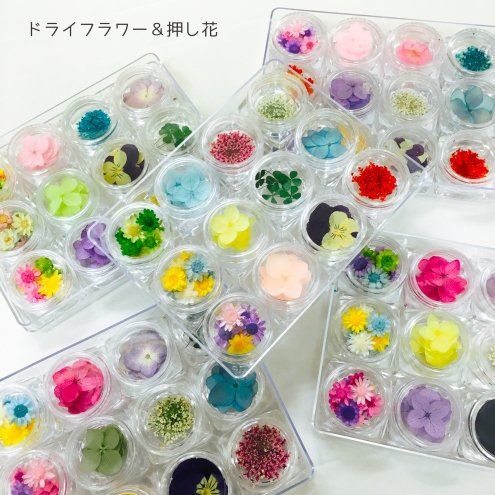 ネイルアート用 押し花のおすすめ10選 トラブルブック