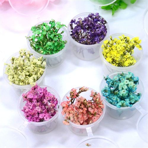 ネイルアート用 押し花のおすすめ10選 トラブルブック