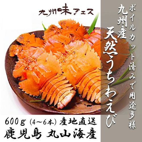 うちわえびの特徴とは 通販やふるさと納税で人気のおすすめうちわえびtop8 自分らしい便利な暮らしを トラベルブック Travelbook