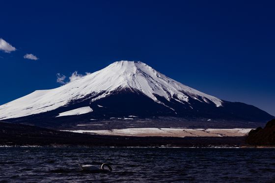 カップルにおすすめ 山梨 デートスポット21選 定番から穴場まで