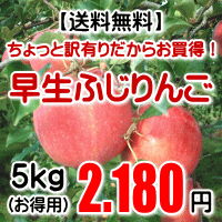 ふじりんごの特徴とは 通販やふるさと納税で人気のおすすめフジリンゴtop9 トラブルブック