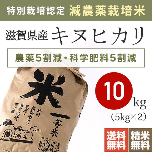 新米 ３０キロ 白米 キヌヒカリ滋賀県 　2024年 環境こだわり米 減農薬栽培 新米 30キロ 白米 キヌヒカリ 滋賀県 2024年 環境こだわり米 減農薬栽培