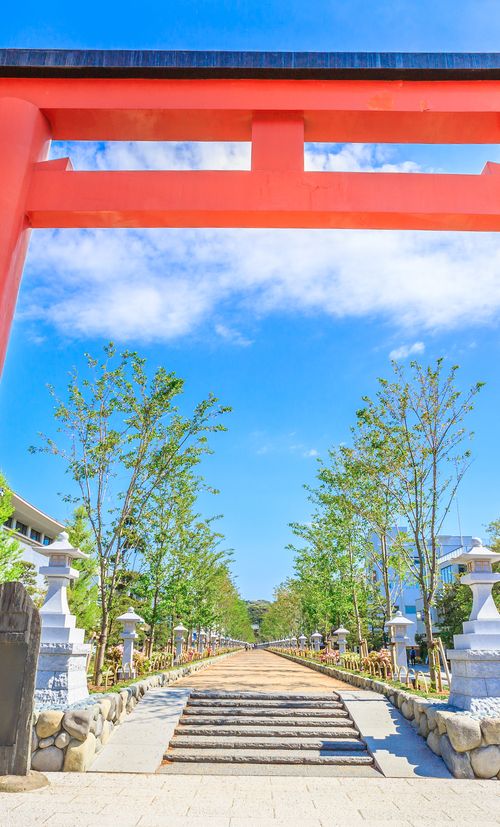 鎌倉のパワースポット神社10選 効果抜群のおすすめ神社を紹介 おすすめ旅行を探すならトラベルブック女子旅 鎌倉のパワースポット神社10選 効果抜群のおすすめ神社を紹介 おすすめ旅行を探すならトラベルブック女子旅