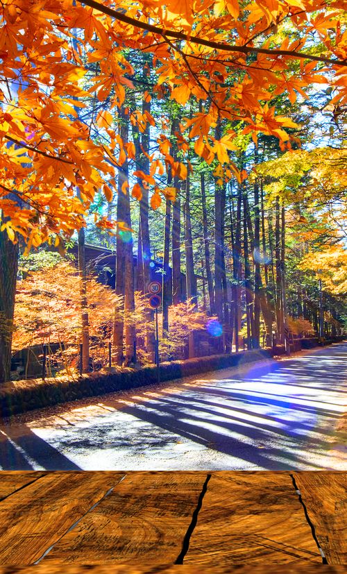 長野 軽井沢周辺の高級ホテルランキング 子連れにも人気の宿をご紹介 おすすめ旅行を探すならトラベルブック Travelbook