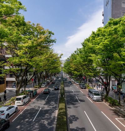 表参道周辺のホテル10選 安いのに快適でカップルにもおすすめ宿もご紹介 おすすめ旅行を探すならトラベルブック Travelbook 表参道周辺のホテル10選 安いのに快適でカップルにもおすすめ宿もご紹介 おすすめ旅行を探すならトラベルブック Travelbook