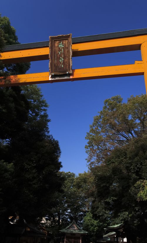 川越氷川神社をめぐる旅 旅好き女子必見の縁結びのパワースポット神社 おすすめ旅行を探すならトラベルブック女子旅