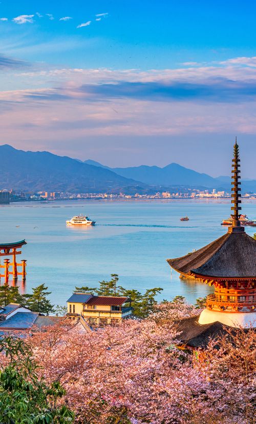 広島のおすすめ子連れ旅館選 口コミ評判の高い宿をご紹介 子育て情報を探すならトラベルブックファミリー